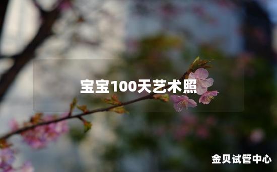 宝宝100天艺术照