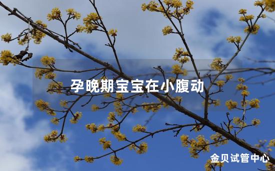 孕晚期宝宝在小腹动