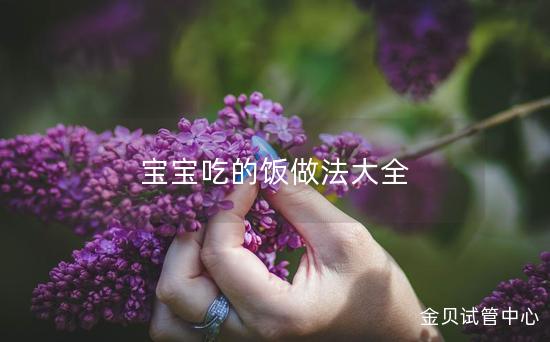 宝宝吃的饭做法大全