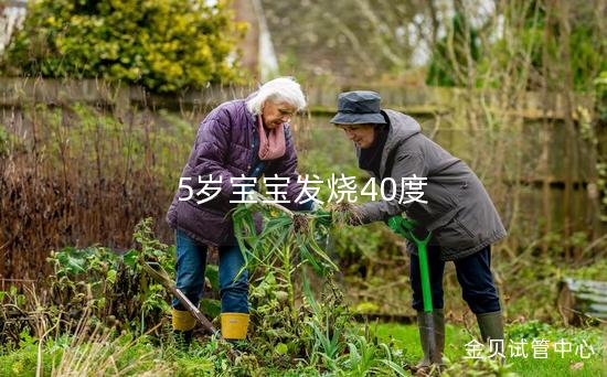 5岁宝宝发烧40度