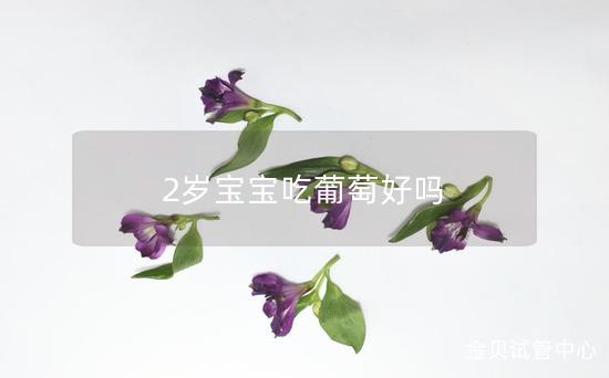 2岁宝宝吃葡萄好吗