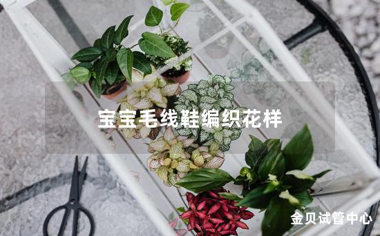 宝宝毛线鞋编织花样