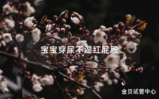 宝宝穿尿不湿红屁股