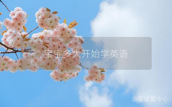 宝宝多大开始学英语