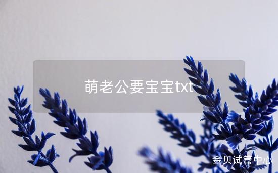 萌老公要宝宝txt