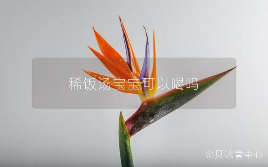 稀饭汤宝宝可以喝吗