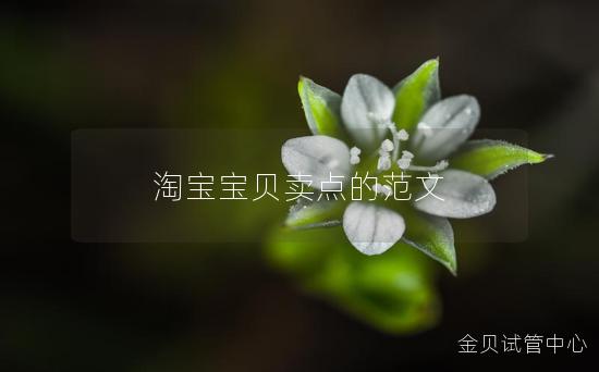 淘宝宝贝卖点的范文