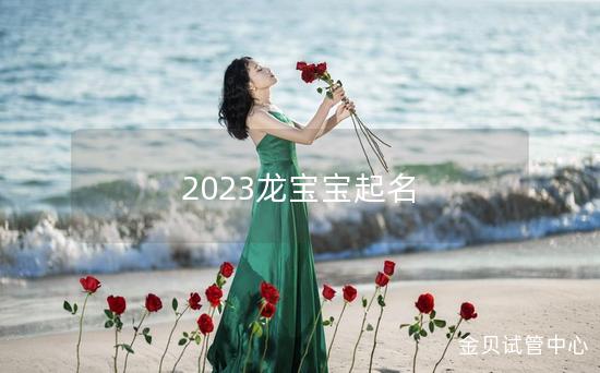 2023龙宝宝起名