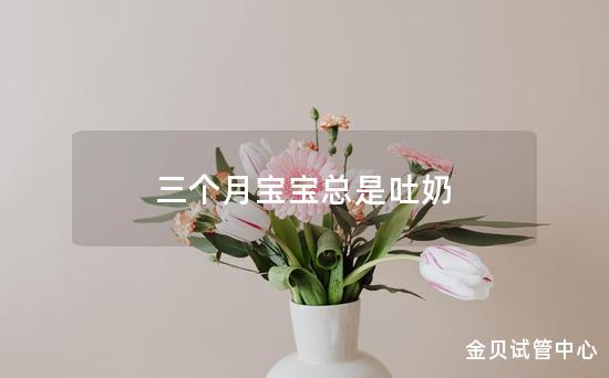 三个月宝宝总是吐奶