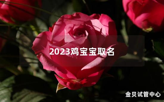 2023鸡宝宝取名