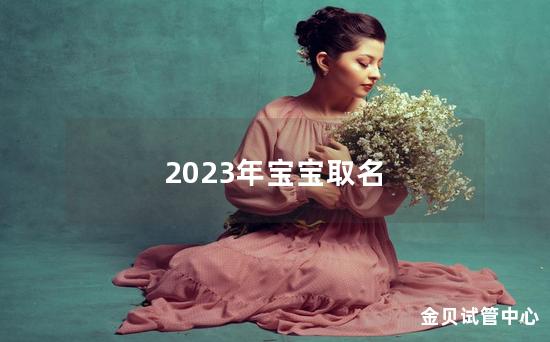 2023年宝宝取名