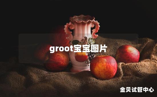 groot宝宝图片