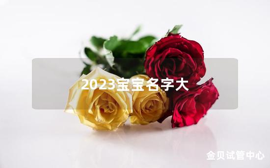 2023宝宝名字大