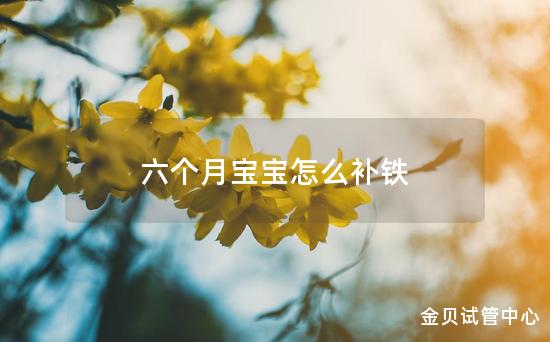 六个月宝宝怎么补铁