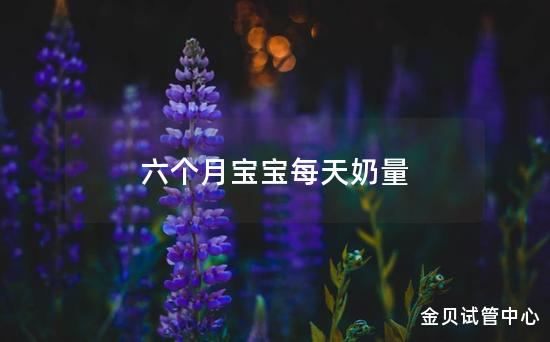 六个月宝宝每天奶量