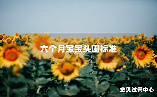 六个月宝宝头围标准