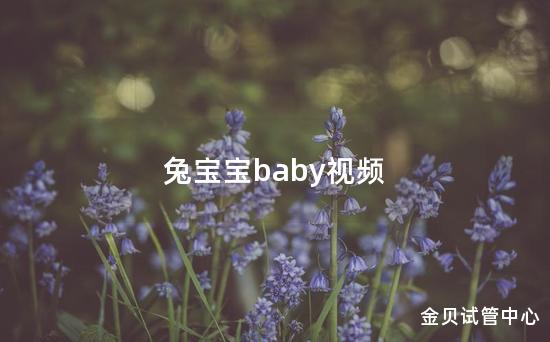 兔宝宝baby视频