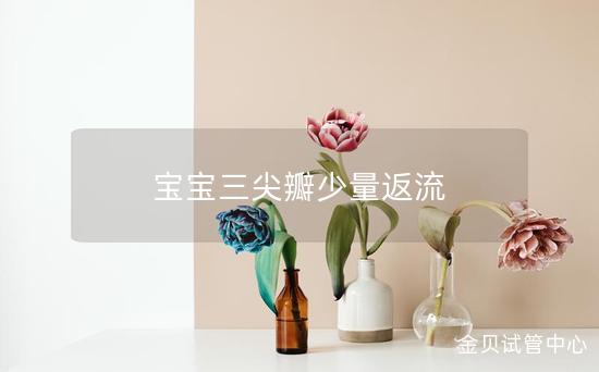 宝宝三尖瓣少量返流