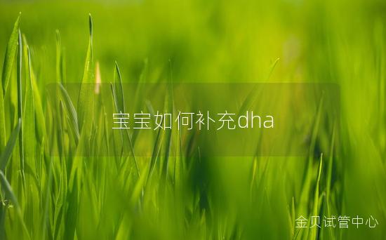 宝宝如何补充dha