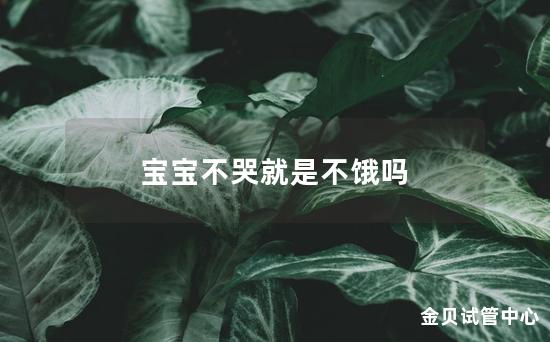 宝宝不哭就是不饿吗