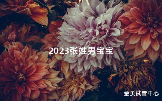 2023张姓男宝宝