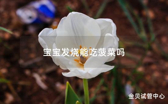 宝宝发烧能吃菠菜吗