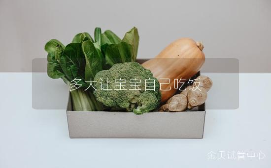 多大让宝宝自己吃饭