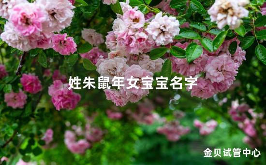 姓朱鼠年女宝宝名字