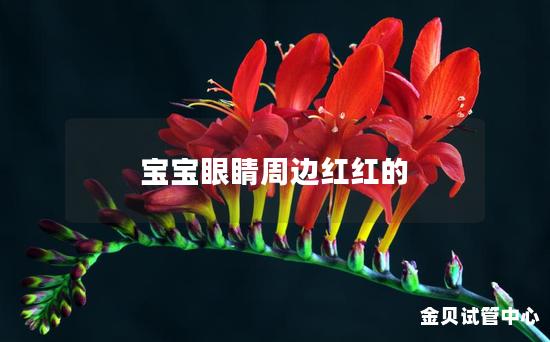 宝宝眼睛周边红红的