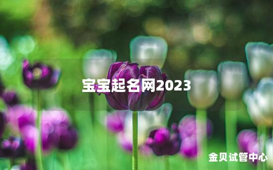 宝宝起名网2023