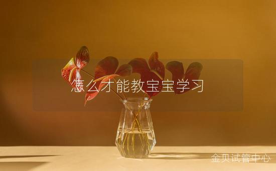 怎么才能教宝宝学习