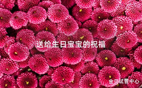 送给生日宝宝的祝福