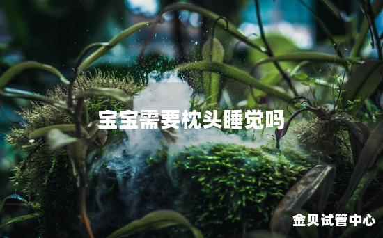 宝宝需要枕头睡觉吗