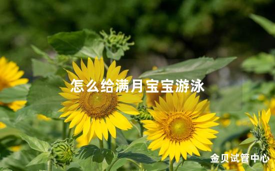 怎么给满月宝宝游泳