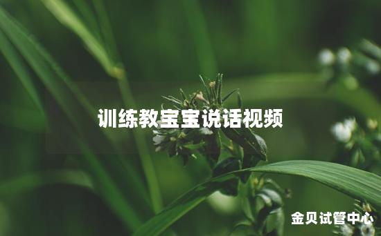 训练教宝宝说话视频