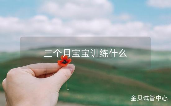 三个月宝宝训练什么