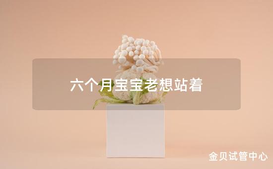 六个月宝宝老想站着