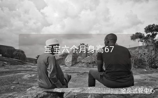 宝宝六个月身高67