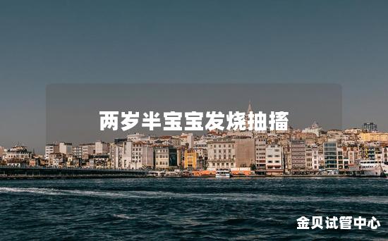 两岁半宝宝发烧抽搐