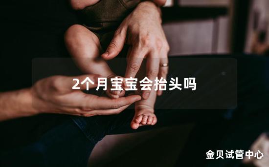 2个月宝宝会抬头吗