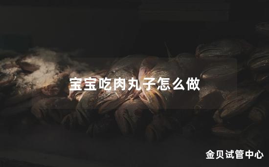 宝宝吃肉丸子怎么做