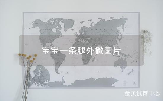 宝宝一条腿外撇图片