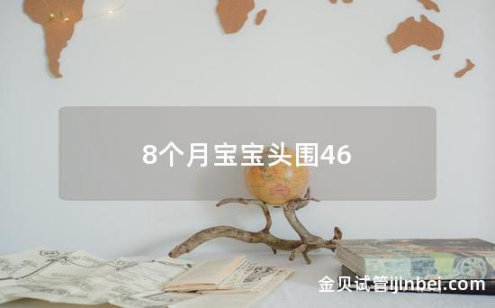 8个月宝宝头围46