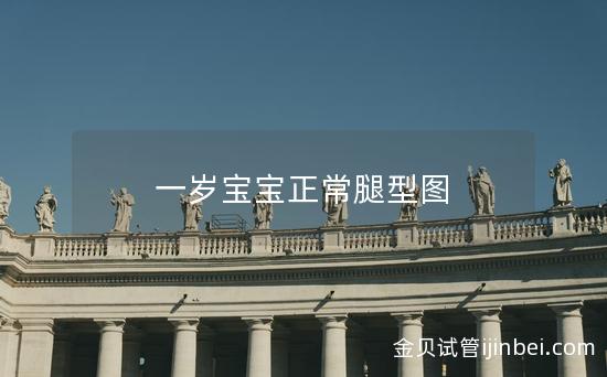 一岁宝宝正常腿型图